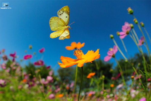 기화수토003.jpg 기화수토003.jpg